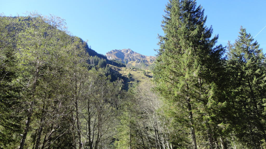 Apartment Haus Schraberger Schladming